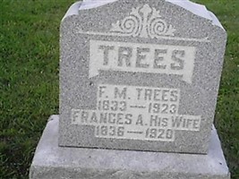 Francis Marion Trees