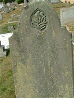 Francis Williams Sedgwick