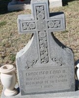 Francisco Holguin Cano