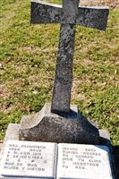 Franciso Vega Cervantes
