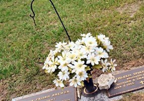 Frank Frisbie Brewer