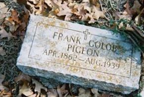 Frank Golob Pigeon
