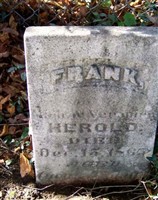 Frank Herold Frank Herold