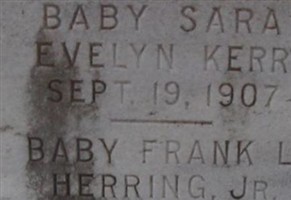 Frank L Herring, Jr