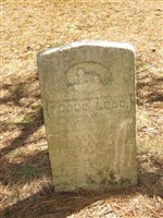 Frank Leon Alger