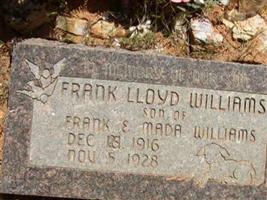Frank Lloyd Williams