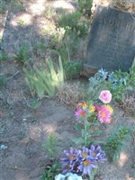 Frank Tazewell Riddle