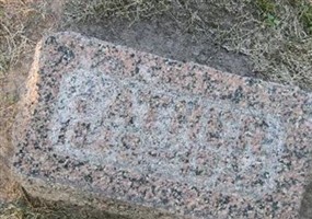Frank Thom