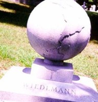 Frank Wiedemann Frank Wiedemann