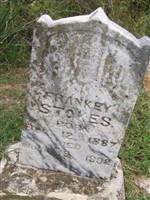 Frankey Stokes Frankey Stokes