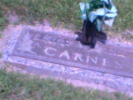 Franklin Walker Carnes, Sr Franklin Walker Carnes, Sr