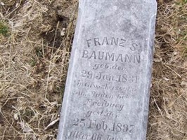Franz S Baumann