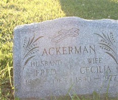 Fred Ackerman