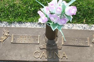 Fred G Gauna
