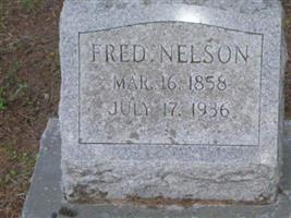 Fred Nelson