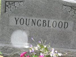 Fred Nelson Youngblood