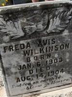 Freda Avis Wilkinson