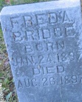 Freda Bridge Freda Bridge