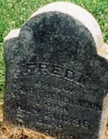 Freda Fredrickson
