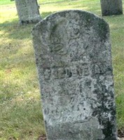 Freddie A. Clark Freddie A. Clark