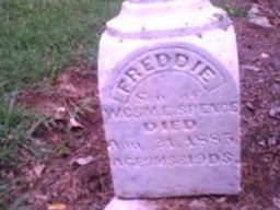 Freddie Spence