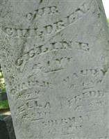 Freddy Runser Freddy Runser