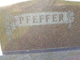 Frederic Henry Pfeffer