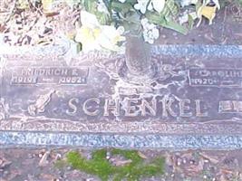 Fredrich E Schenkel