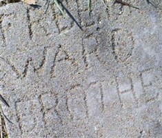 Freed Ward
