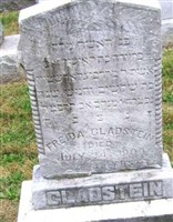 Freida Gladstein