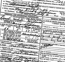 Freida Seigal Stephens
