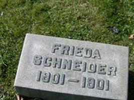 Frieda Schneider (2122839.jpg)