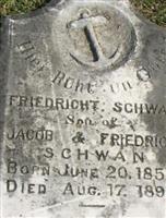 Friedricht Schwan