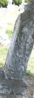 Gabarilla Cone