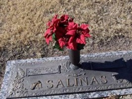 Gabina Sanchez Salinas