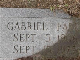 Gabriel Fares Gabriel Fares