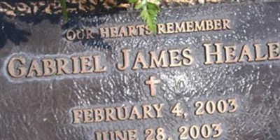 Gabriel James Healey