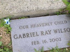 Gabriel Ray Wilson Gabriel Ray Wilson
