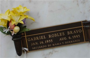 Gabriel Robles Bravo Gabriel Robles Bravo