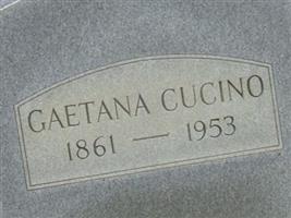 Gaetana Cucino