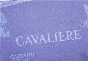 Gaetano Cavaliere