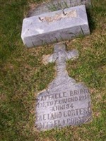 Gaetano Cortese Gaetano Cortese