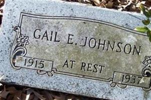 Gail E Johnson