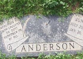 Gaines Lawrence Anderson, Jr