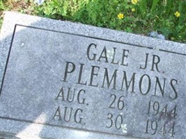 Gale Plemmons, Jr