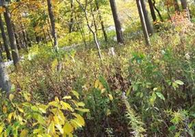 Garrison-Tharp Cemetery