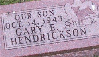 Gary E Hendrickson