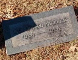 Gary Edward Ringgold Gary Edward Ringgold