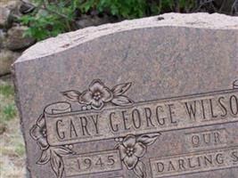 Gary George Wilson