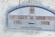 Gary M Ness
